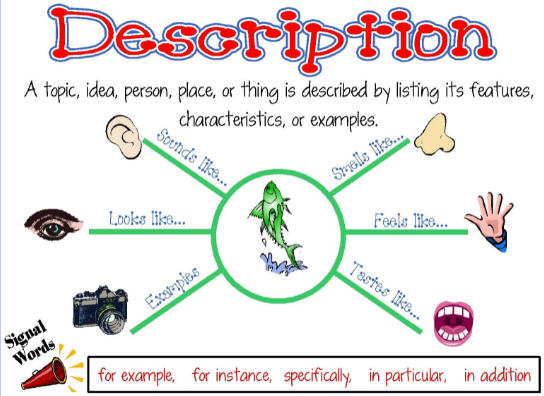 Descriptive Text Structure